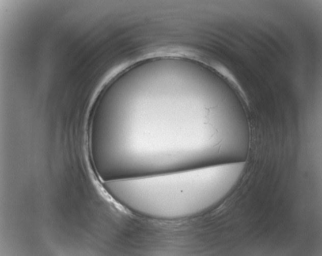 X0000081571088200701151019