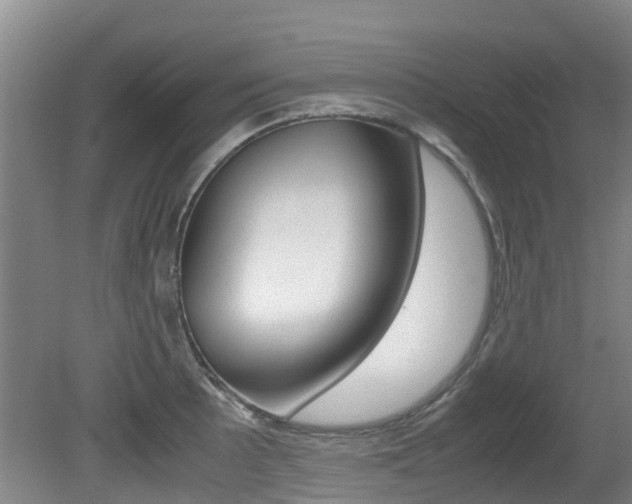 X0000081571089200701151019