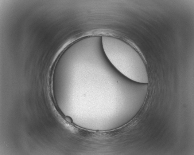 X0000081571091200701151019
