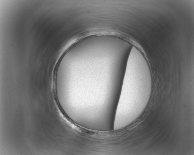 X0000081571095200701151019