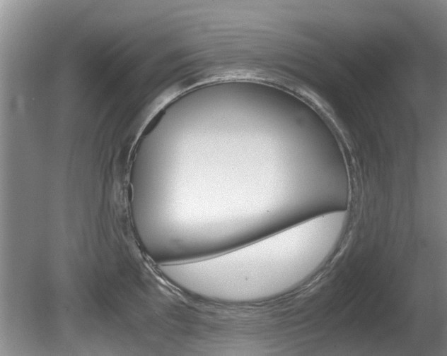 X0000081571097200701151019