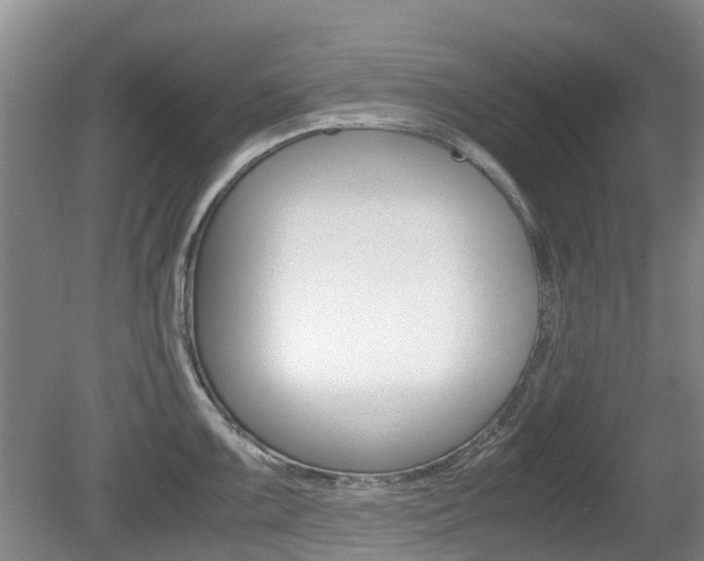 X0000081571099200701151019