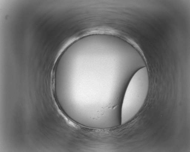 X0000081571103200701151019