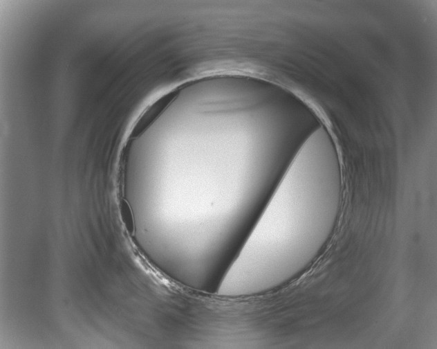 X0000081571104200701151019
