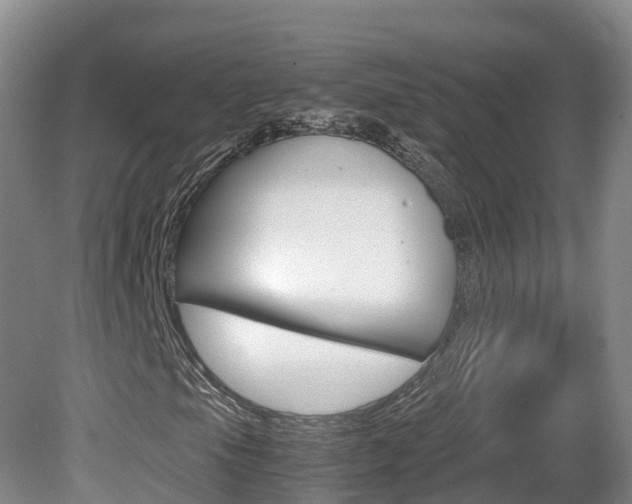 X0000081571105200701151018