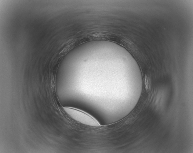 X0000081571107200701151018