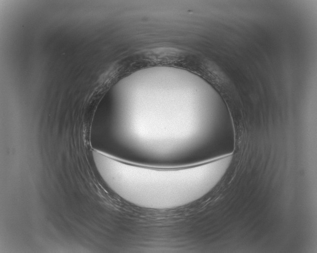 X0000081571108200701151018