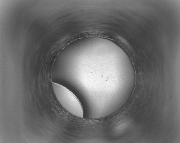X0000081571111200701151018