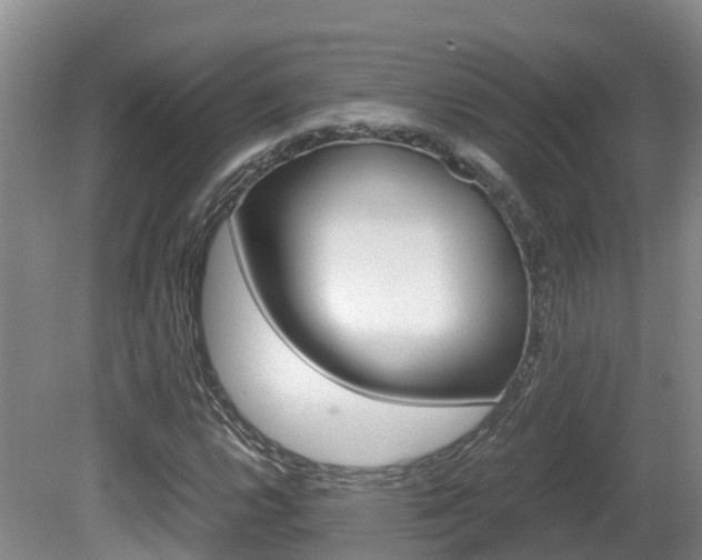 X0000081571112200701151018