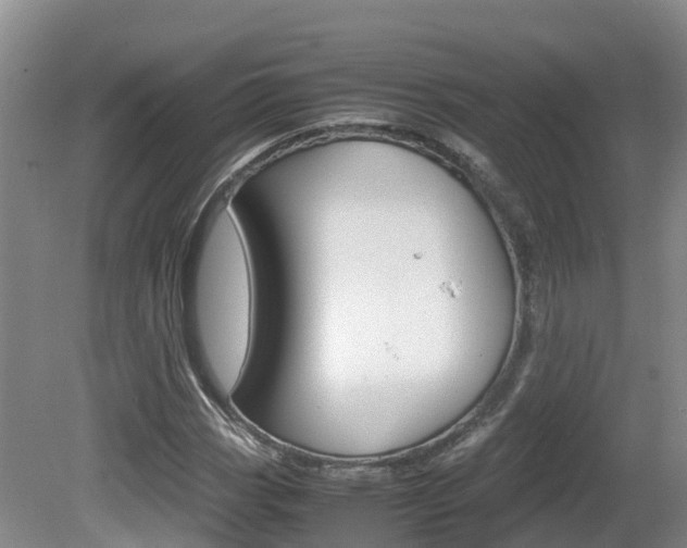 X0000081571113200701151018
