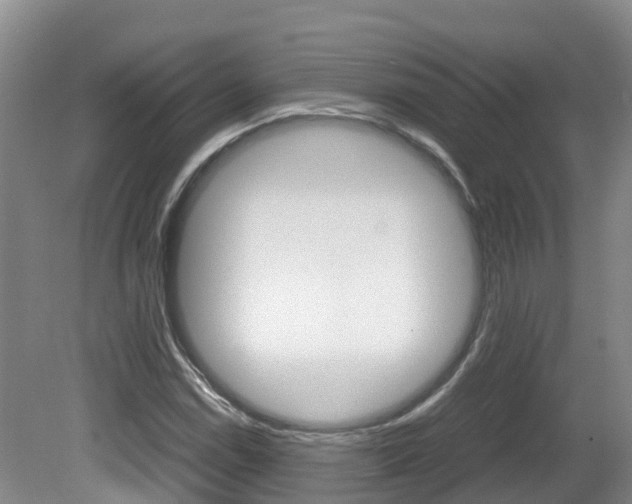 X0000081571114200701151018
