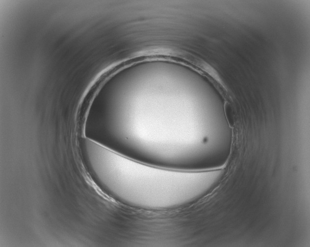 X0000081571116200701151018
