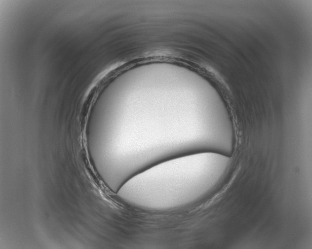 X0000081571117200701151018
