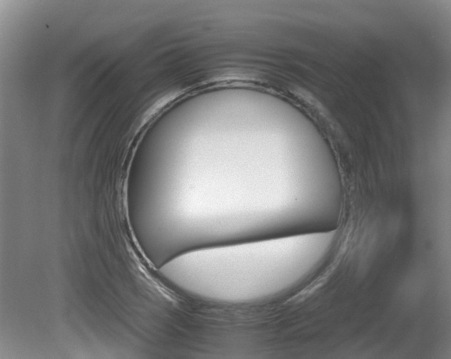 X0000081571121200701151018