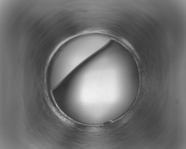 X0000081571124200701151019