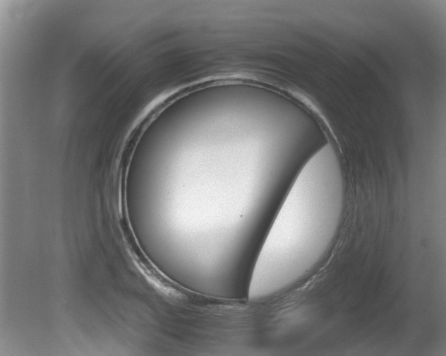 X0000081571127200701151019
