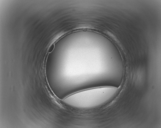 X0000081571129200701151019