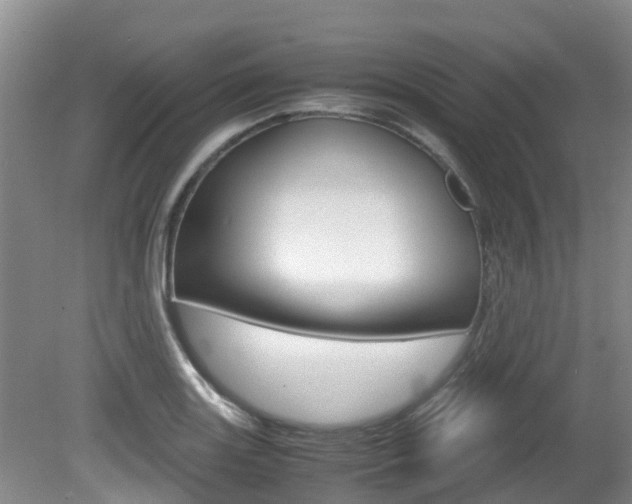 X0000081571131200701151019