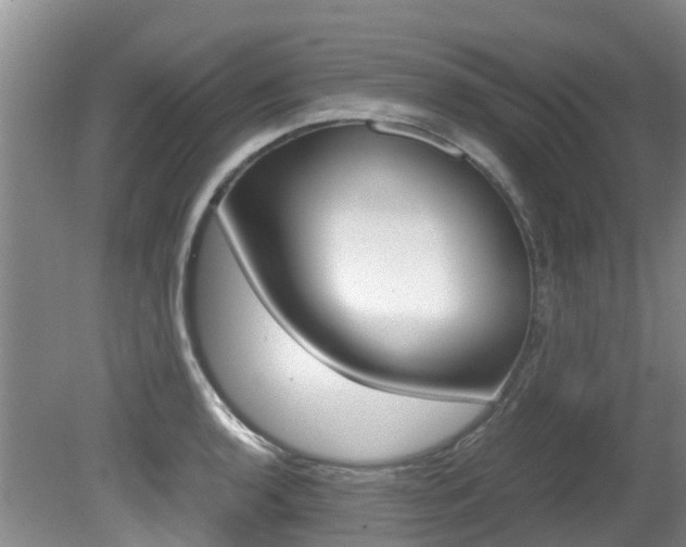 X0000081571136200701151019