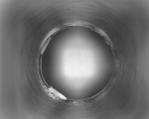 X0000081571138200701151019