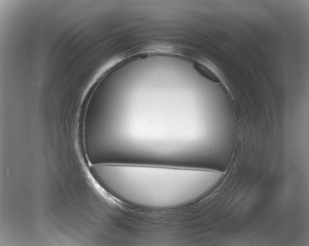 X0000081571139200701151019
