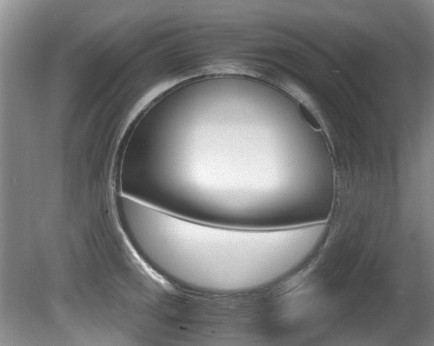 X0000081571141200701151019