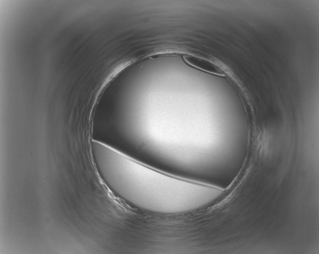X0000081571145200701151019