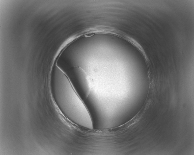 X0000081571146200701151019