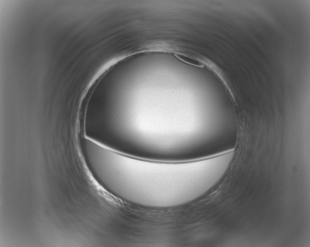 X0000081571147200701151019