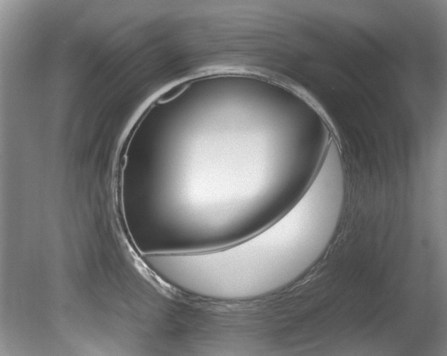 X0000081571148200701151019