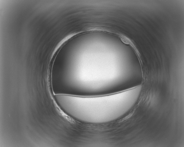 X0000081571149200701151019