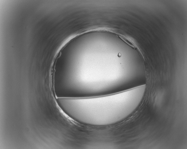 X0000081571151200701151019