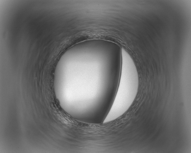 X0000081571153200701151018