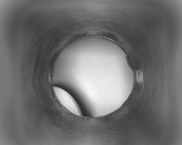 X0000081571155200701151018