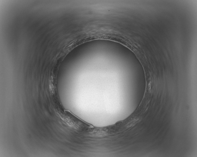 X0000081571156200701151018