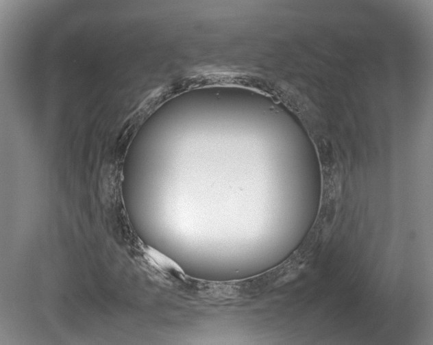 X0000081571157200701151018