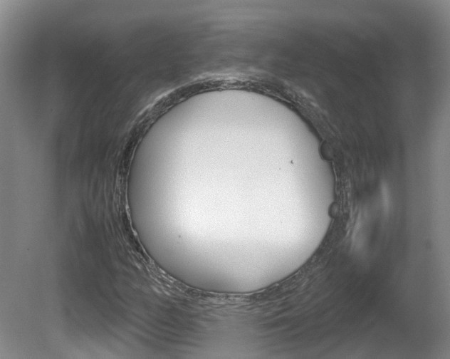 X0000081571158200701151018
