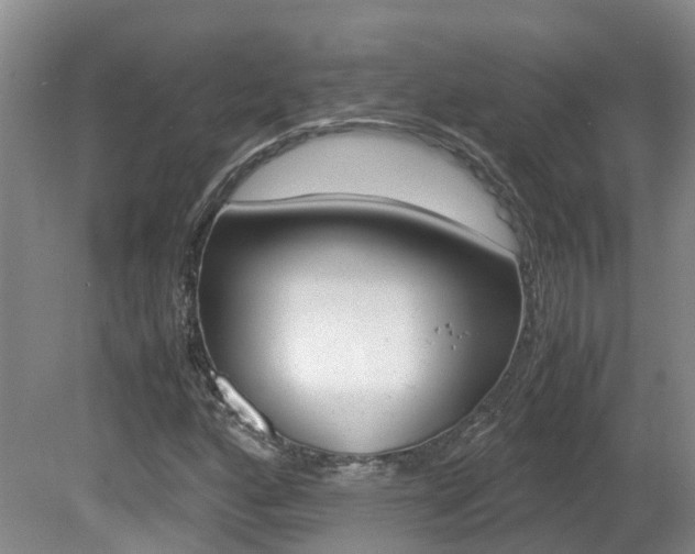 X0000081571160200701151018