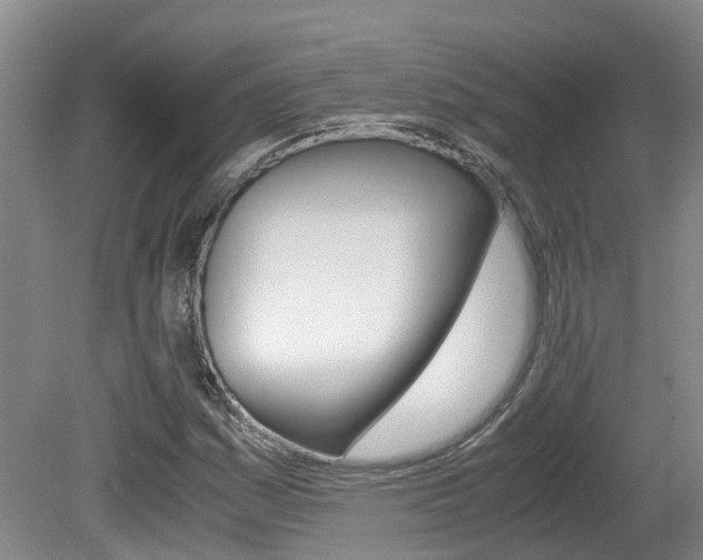 X0000081571161200701151018