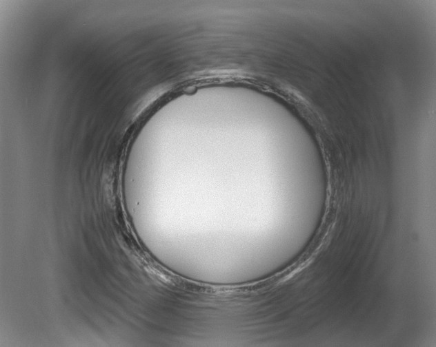 X0000081571162200701151018