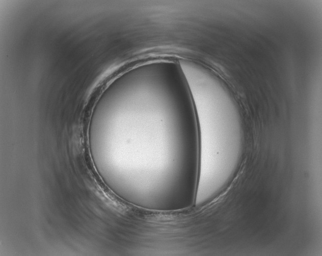 X0000081571164200701151018