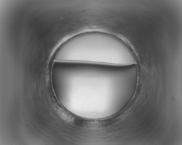 X0000081571167200701151018
