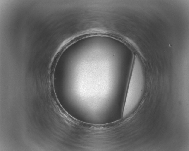 X0000081571168200701151018