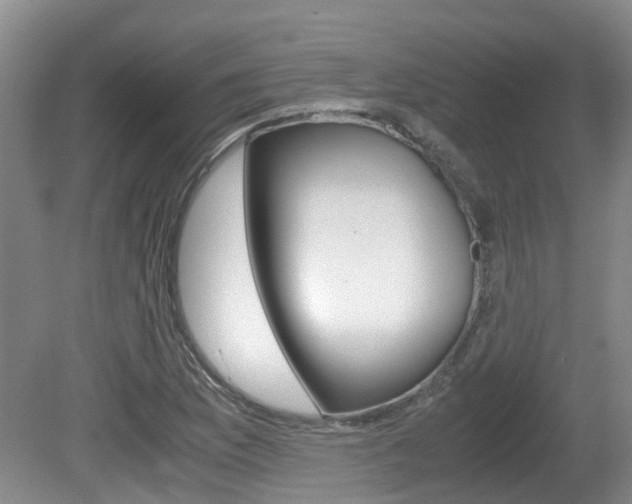 X0000081571169200701151018