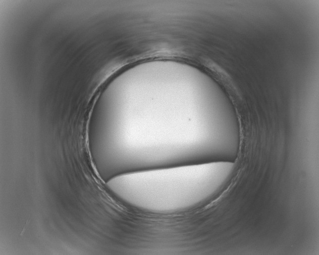 X0000081571170200701151018