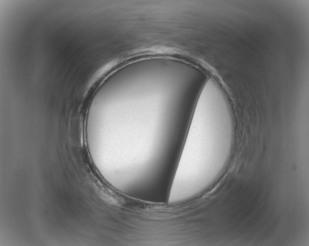 X0000081571171200701151018