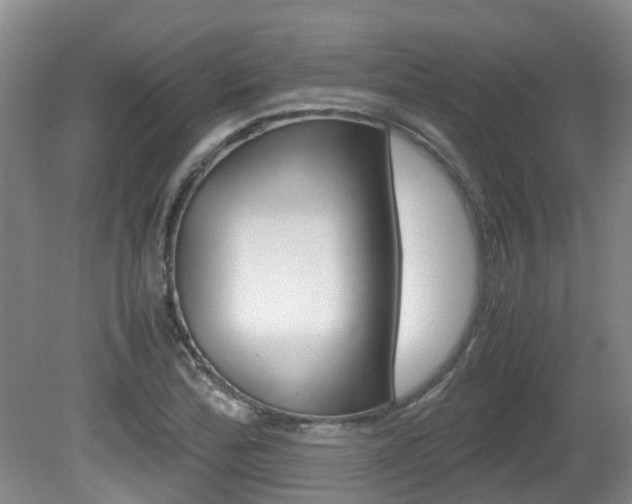 X0000081571172200701151018