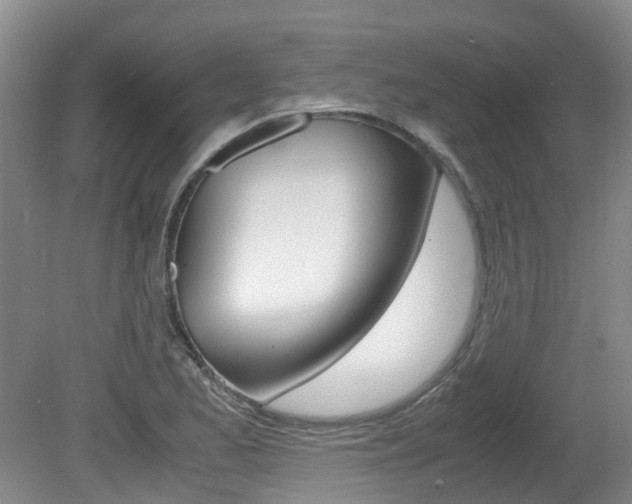 X0000081571173200701151018
