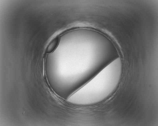 X0000081571175200701151018
