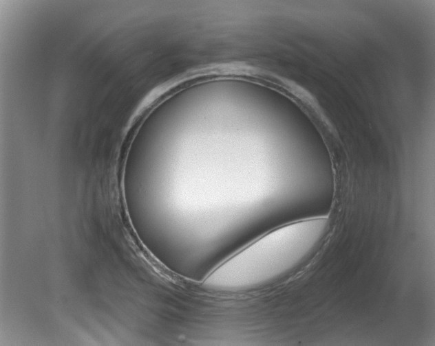 X0000081571176200701151018